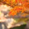DSC00777