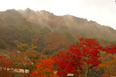 箕面公園