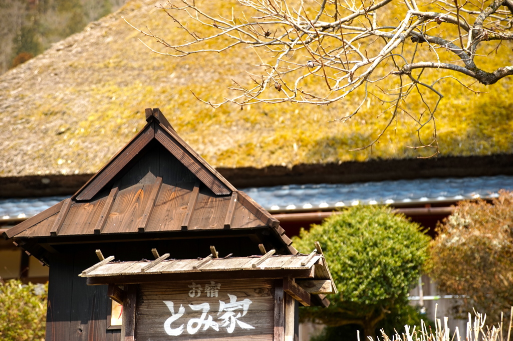 美山ツーリング4