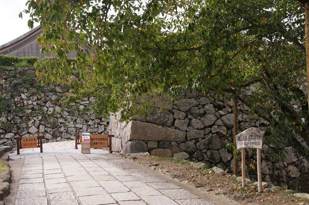 篠山城跡