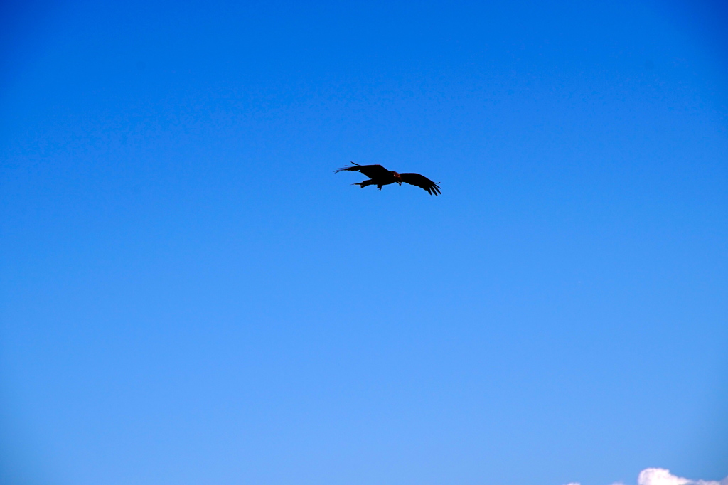 和歌山ツーリング6