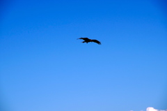 和歌山ツーリング6