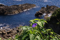 和歌山ツーリング