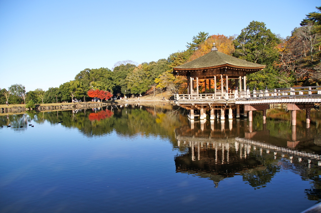 奈良公園