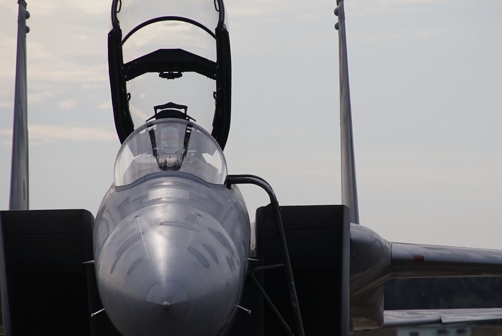岐阜基地航空祭2018　F-15