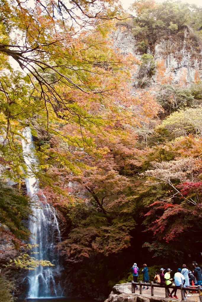 秋の箕面大滝