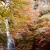 秋の箕面大滝
