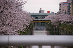 ポタリング　２