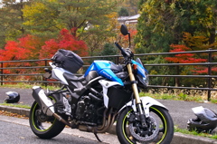 紅葉見つけに…