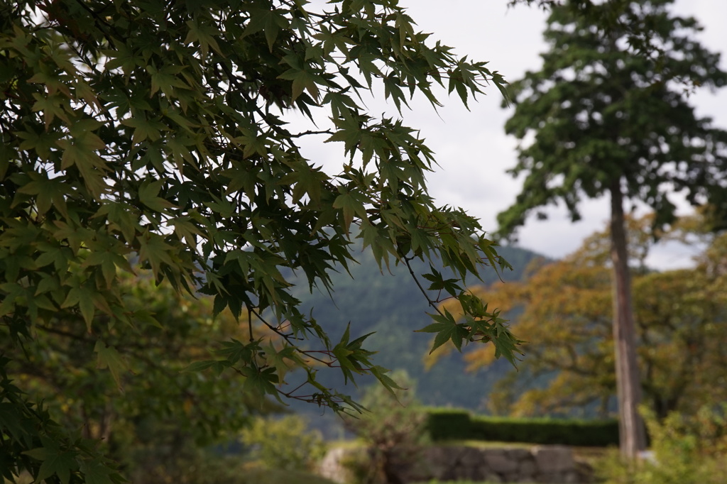 篠山城跡