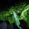 箕面の大滝
