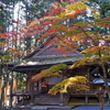 DSC06431
