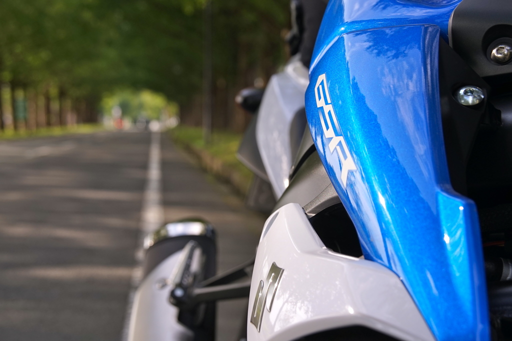 メタセコイヤ並木