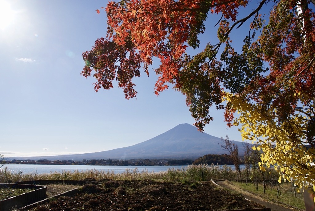 紅葉真っ盛り