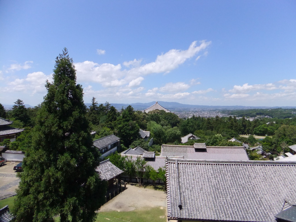 一望