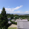 一望