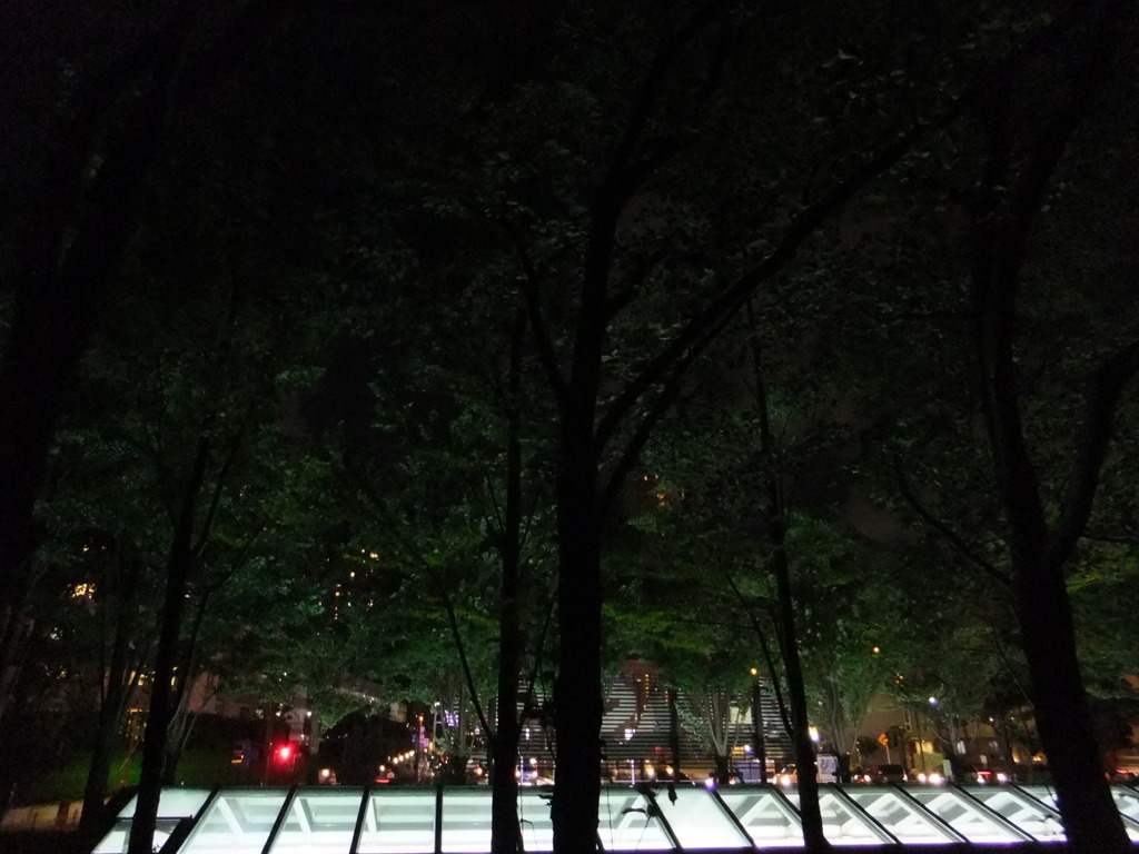 夜