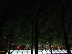 夜