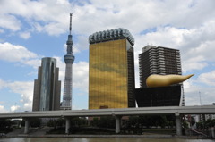 隅田川の畔