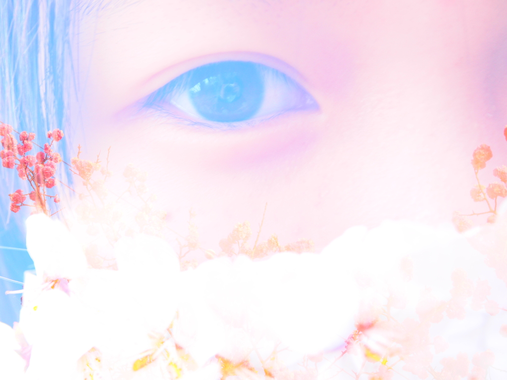 瞳