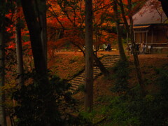 6D329D19-6AE0-424F-B9C0-7E4AD04DCA5E