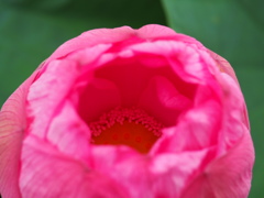 967718DF-0244-4AA2-9EB4-C289C95686AD