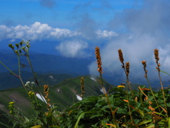B958A000-028F-4D6B-9E4C-F3904BEC9EB1
