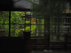 C694E49C-3571-4CC4-8E3C-028C603CF05D
