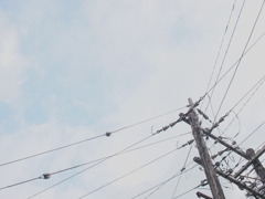 のどか