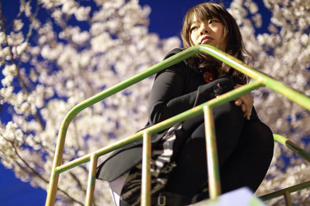 夜桜も君も…