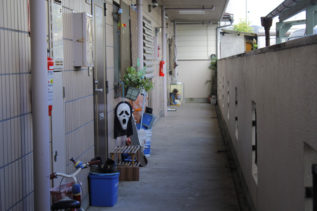 日常