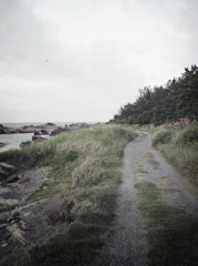 海沿いの畦道