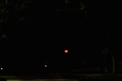 _DSC0037
