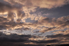 空5