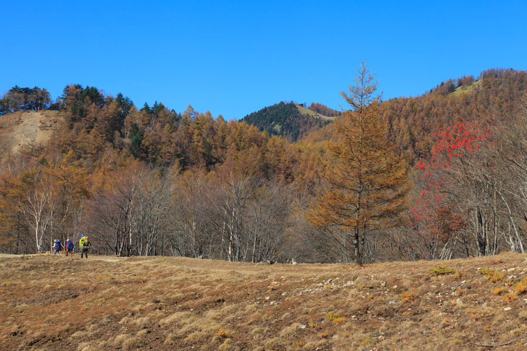 雲取山登山