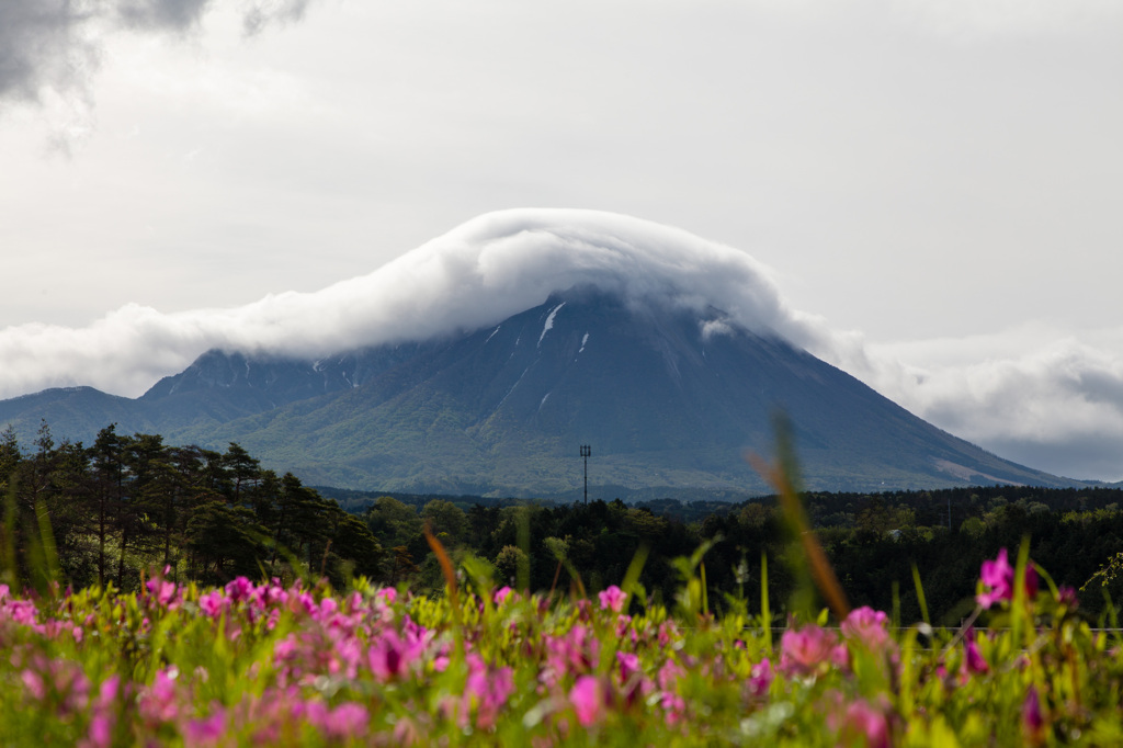 雲に包まれた大山