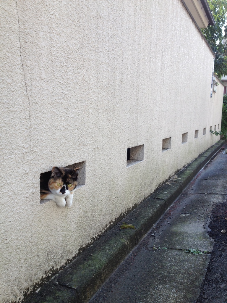 塀