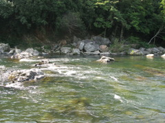 揖保川