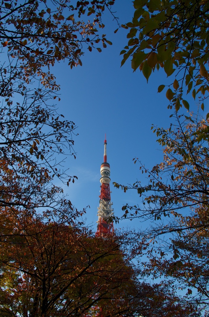 秋の額縁
