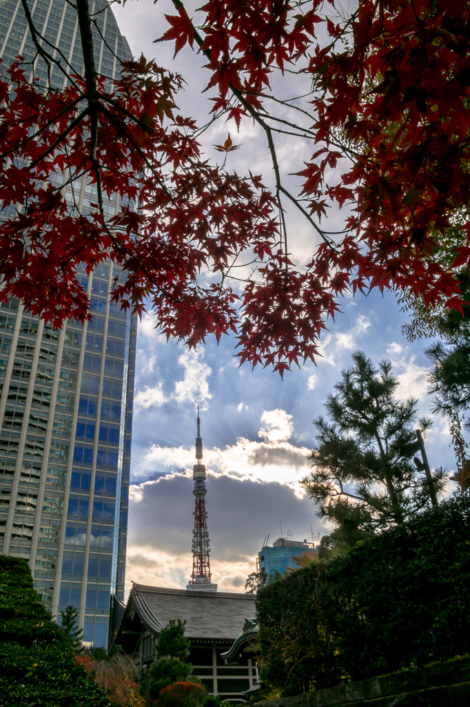 東京、初冬の午後