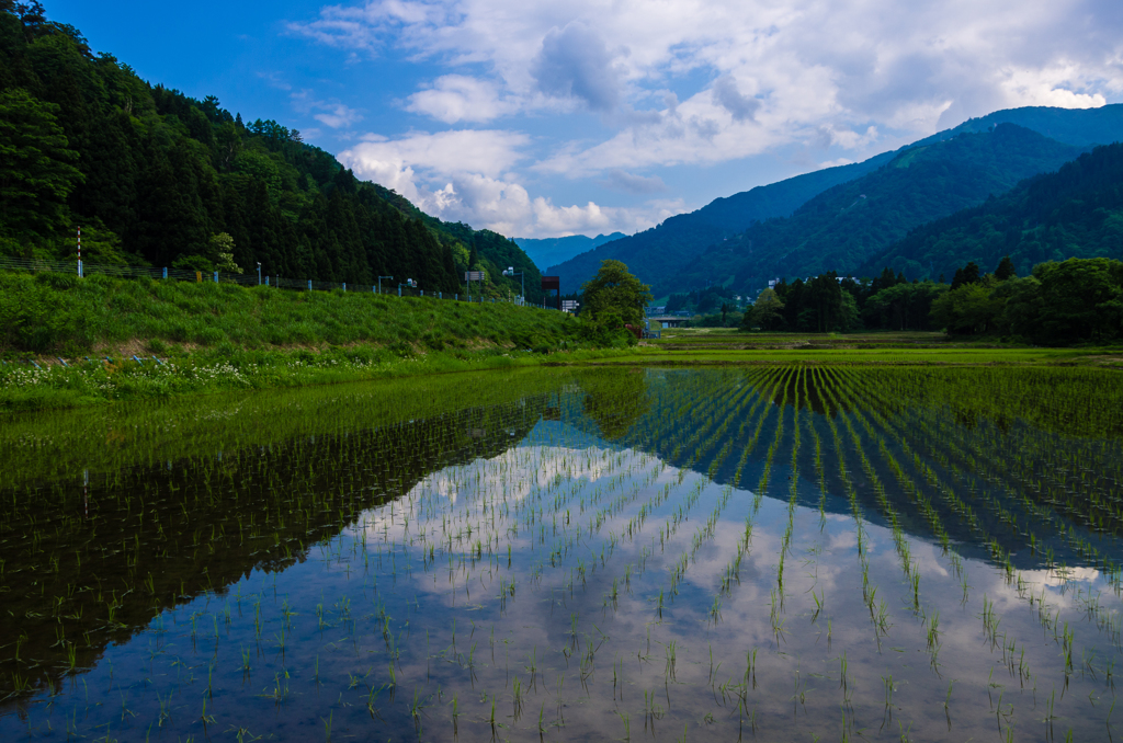 初夏の田園