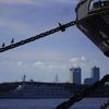 横浜、夏の午後。