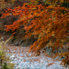 黄でもなく、紅でもなく