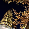 Tokyo Night (Ver.桜）