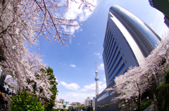 青い空と空の塔