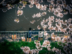 春の釣り