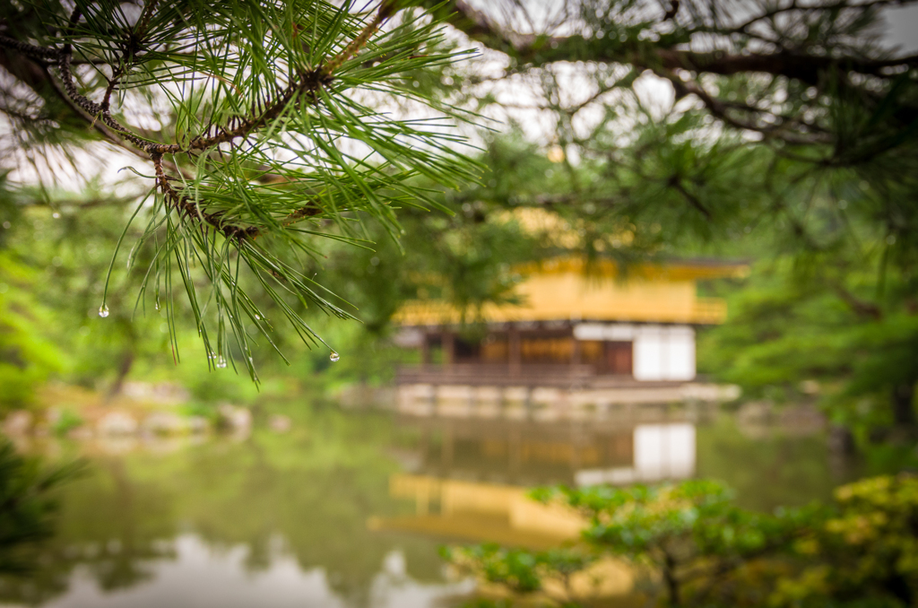 Rainy , Kyoto