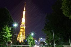 夜の東京画