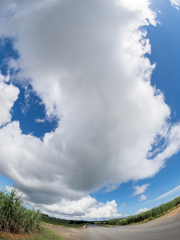 夏雲