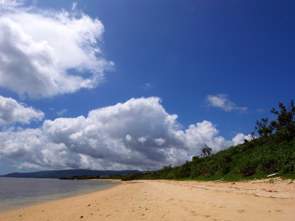 中野海岸